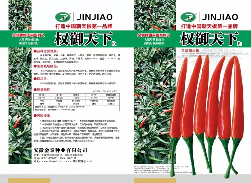 【权御天下】大果朝天椒辣椒种子早熟艳红种子基地直发