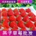 【一件代发】供电商商超社区红颜草莓精品发货欢迎品尝
