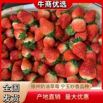江苏徐州万亩草莓基地直发现摘现发妙香全国代收代购