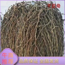 干豆角/精品干豆角质量保证全国发货量大从优