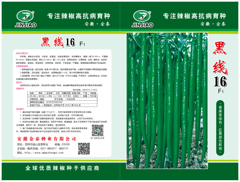 【黑线16】黑线19硬皮线椒辣椒种子3号椒辣椒种子