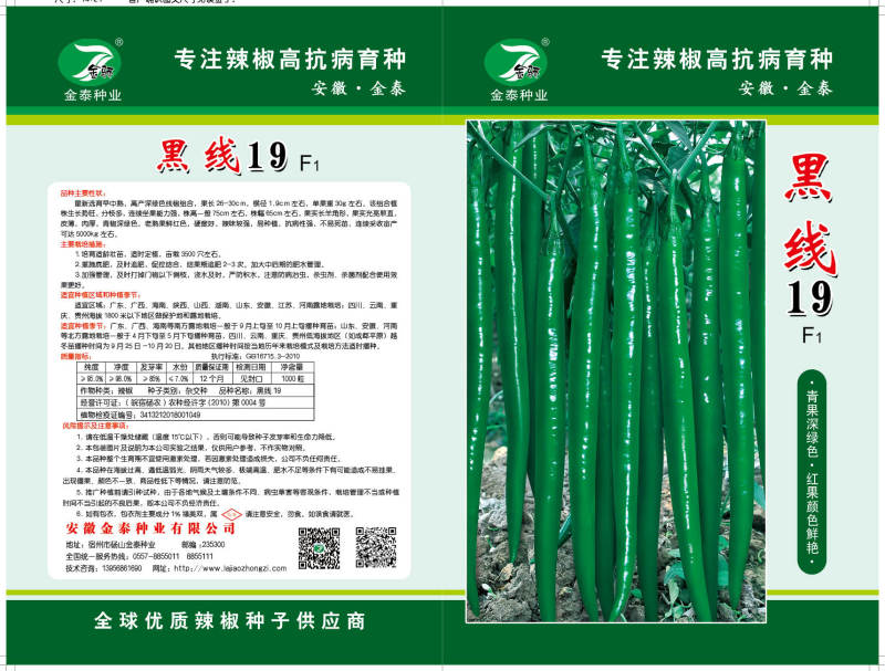 【黑线16】黑线19硬皮线椒辣椒种子3号椒辣椒种子