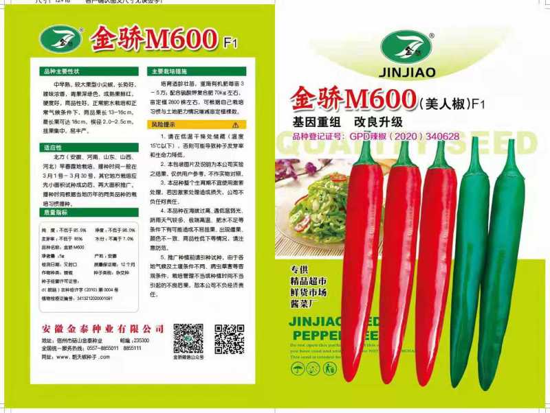 【美人椒】大果美人椒辣椒种子海花红种子全国发货