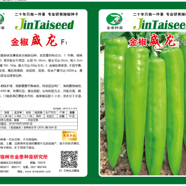 【黄皮尖椒】金骄威龙羊角椒黄龙薄皮尖椒辣椒种子全国发货
