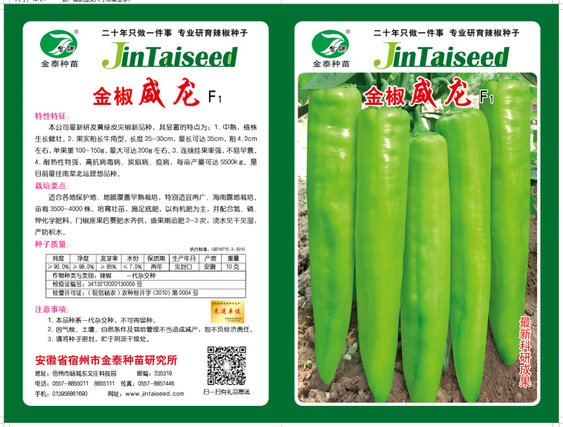 【黄皮尖椒】金骄威龙羊角椒黄龙薄皮尖椒辣椒种子全国发货