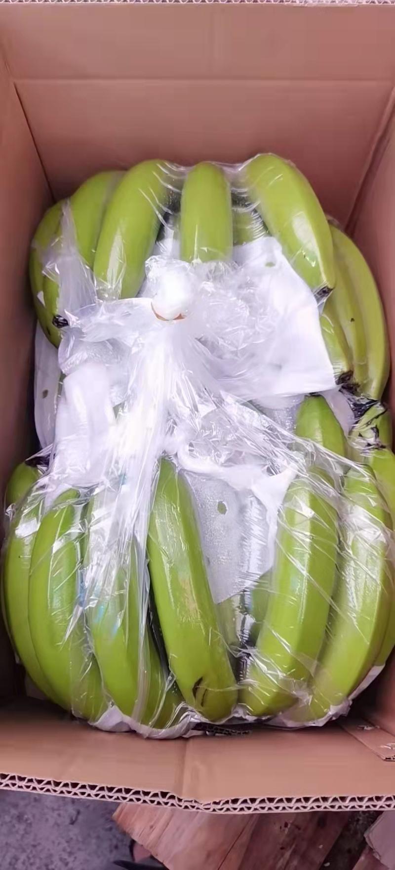 香蕉优质香蕉新鲜当季水果现砍现发原产地直供