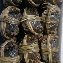 湖北省荆州市洪湖大闸蟹全母礼盒套餐可视频看货