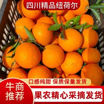 四川纽荷尔脐橙，口感纯甜，农户精心采摘，保质保量发货！