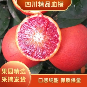 优质血橙果面干净，精心采摘保质保量发货，电商超市供货