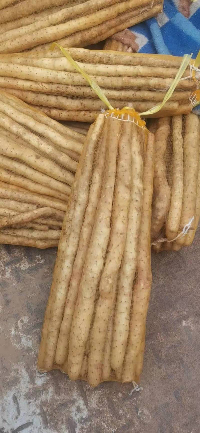小白嘴山药散货，基地直发，价格美丽，可视频看货