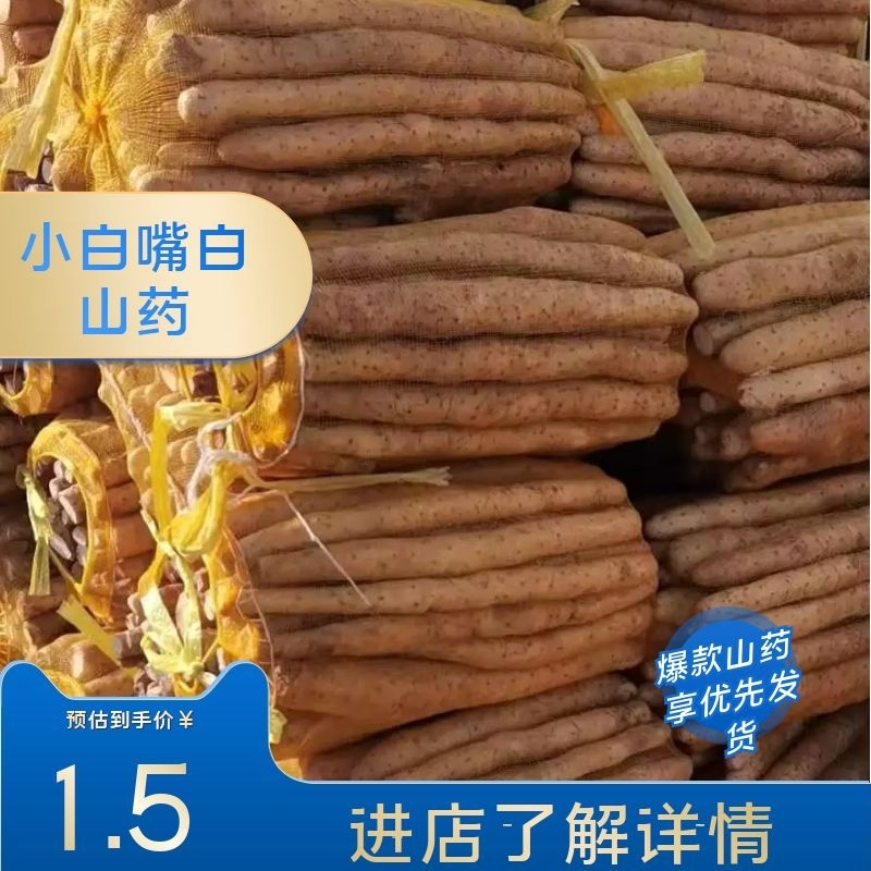 小白嘴山药散货，基地直发，价格美丽，可视频看货