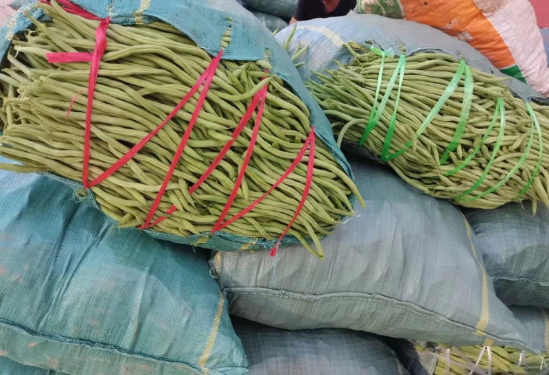 精品无筋豆，大量现货条形好，翠绿无虫眼，量大质优全国发货