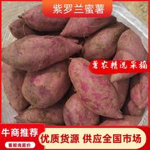 山东精品紫罗兰蜜薯，基地新鲜现挖现发，保质保量，欢迎