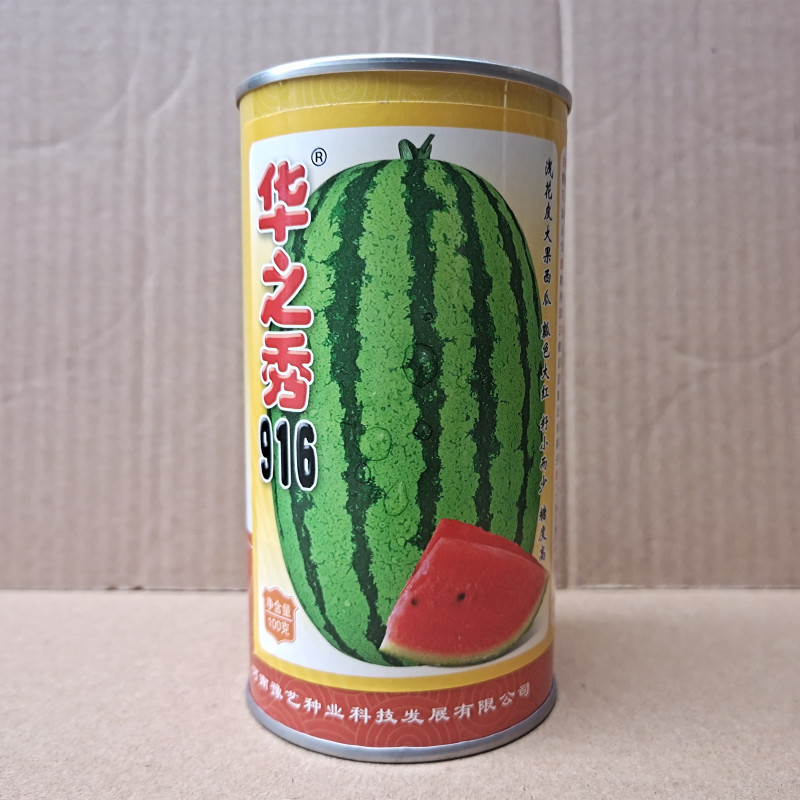 华之秀916西瓜种子双红金城五类型露地压砂西瓜种子豫艺种
