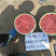国豫九号京欣类型西瓜种子大红瓤早熟品质好豫艺种业厂家直销