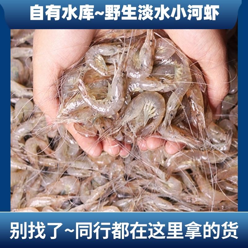 李芹活鱼6斤一包批发淡水小河虾一斤800只一手货源