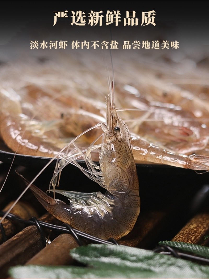 李芹活鱼6斤一包批发淡水小河虾一斤800只一手货源