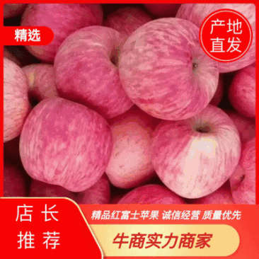 山东精品苹果看货定价的产地直销一手货源品质保证