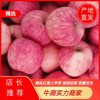山东精品苹果看货定价的产地直销一手货源品质保证