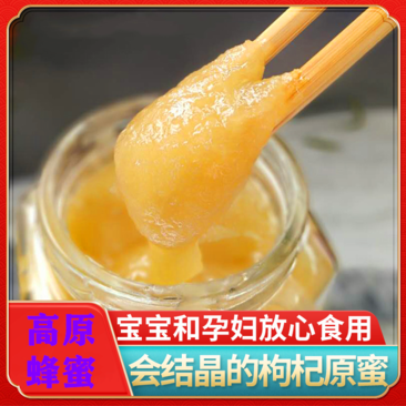 蜂蜜高原纯枸杞蜂蜜2瓶自产自销青藏高原蜂蜜包邮