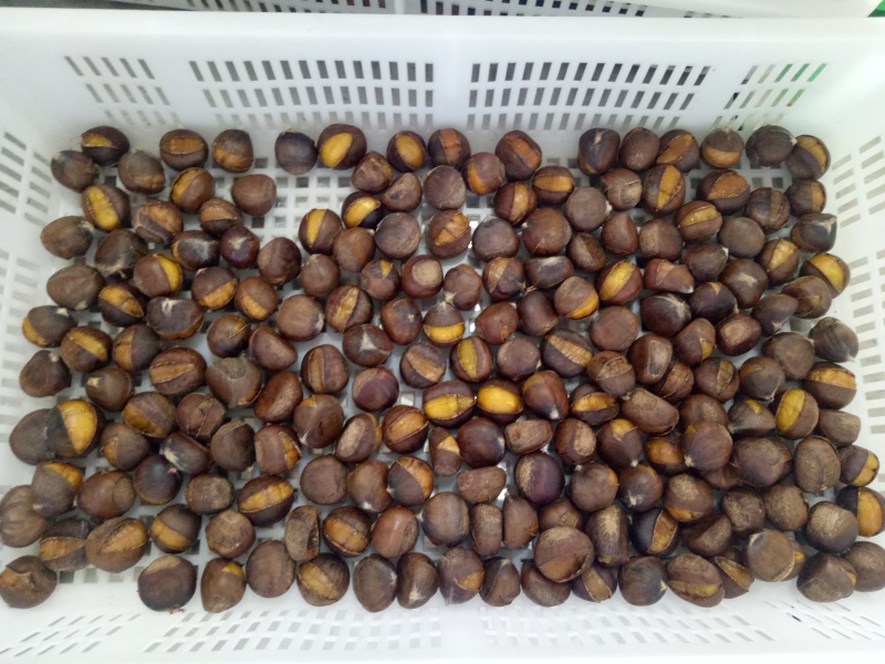 迁西板栗冰栗烤栗子开口笑蒸栗速冻栗子凉爽