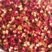花椒红花椒优质大量供应一手货源对接全国