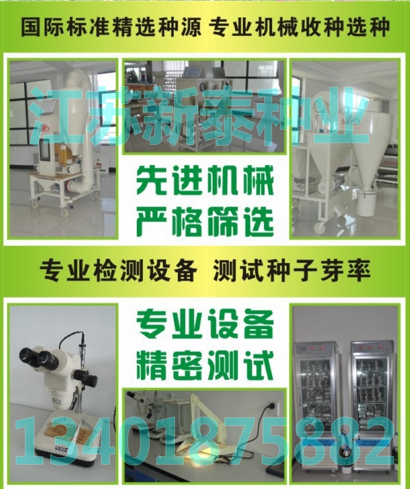 瓜蒌种子吊瓜子天花粉栝楼吊瓜润肺祛痰中药材野生糖瓜蒌瓜