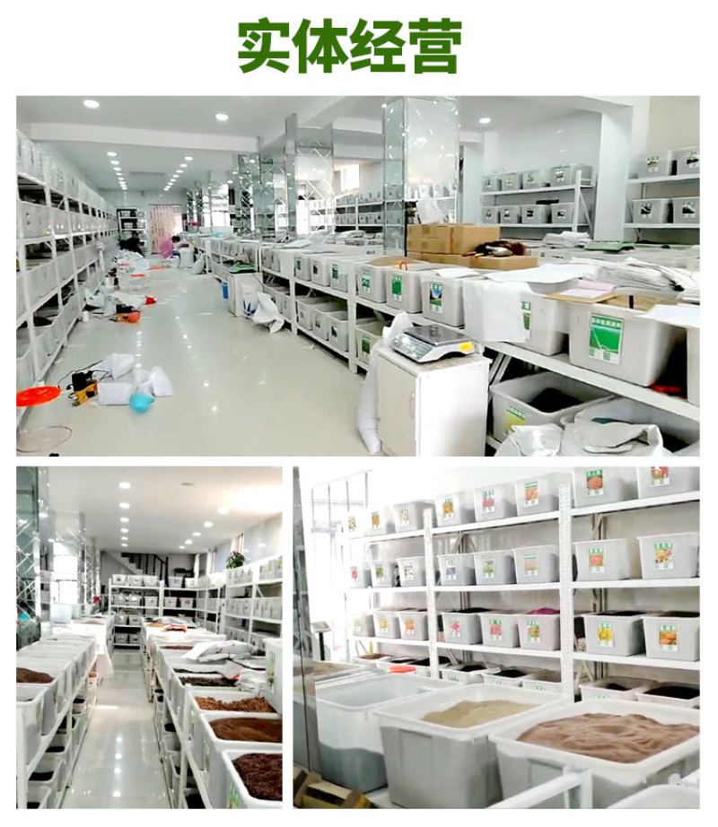 瓜蒌种子吊瓜子天花粉栝楼吊瓜润肺祛痰中药材野生糖瓜蒌瓜