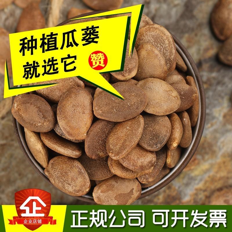瓜蒌种子吊瓜子天花粉栝楼吊瓜润肺祛痰中药材野生糖瓜蒌瓜