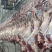 牦牛四分体现杀现卖新鲜牦牛肉高原特产原切无注水