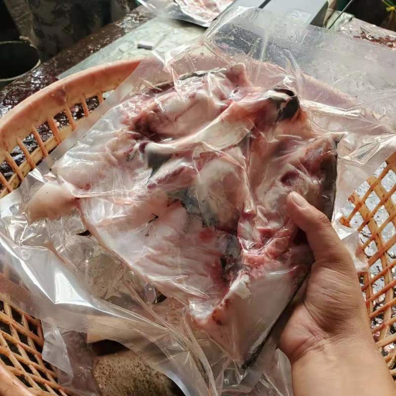 李芹活鱼订制黑鲢鱼头活鱼加工鳙鱼头剁椒鱼头原料