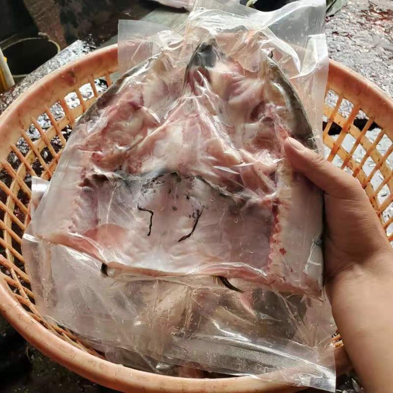 李芹活鱼订制黑鲢鱼头活鱼加工鳙鱼头剁椒鱼头原料