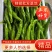 【推荐】精品螺丝椒大量上市质量有保证货源充足欢迎选购