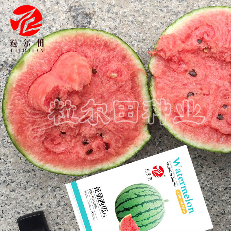 粒尔田花童礼品西瓜种子早春秋季冬季大棚温室种植小西瓜