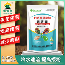 速溶硼肥四水八硼酸钠中微量元素水溶肥叶面肥提高座果