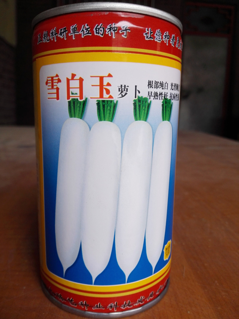白皮白肉萝卜雪白玉萝卜种子豫艺种业厂家直销