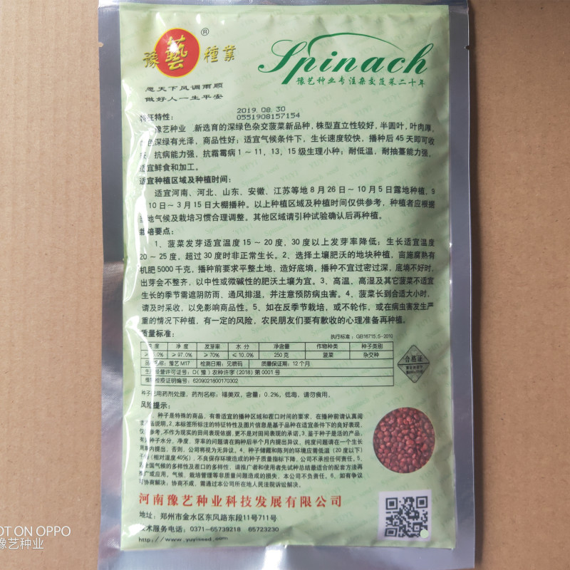 精品杂交菠菜种子豫艺M17菠菜种子豫艺种业厂家直销