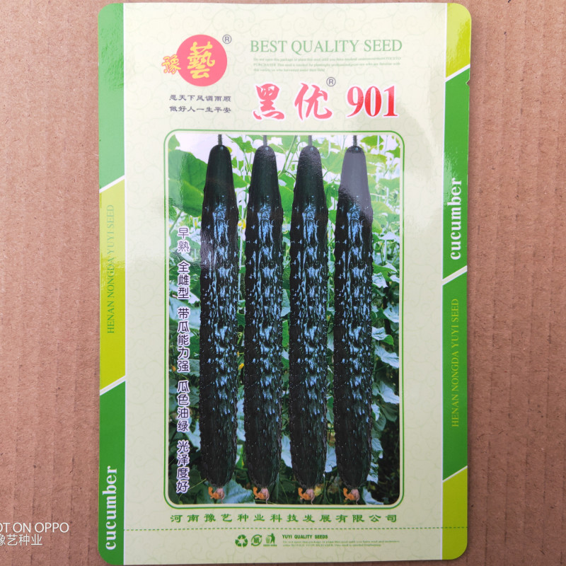 黑亮黄瓜种子黑优901油亮绿肉豫艺种业厂家直销