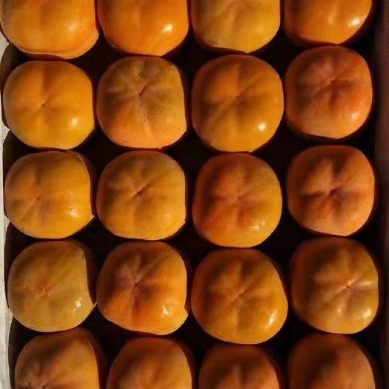 【精品】磨盘柿，正宗狼牙山磨盘柿，货量充足，质量保证