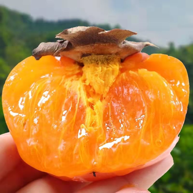 【精品】磨盘柿，正宗狼牙山磨盘柿，货量充足，质量保证