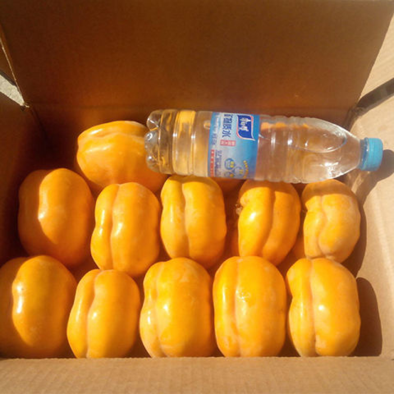 【精品】磨盘柿，正宗狼牙山磨盘柿，货量充足，质量保证