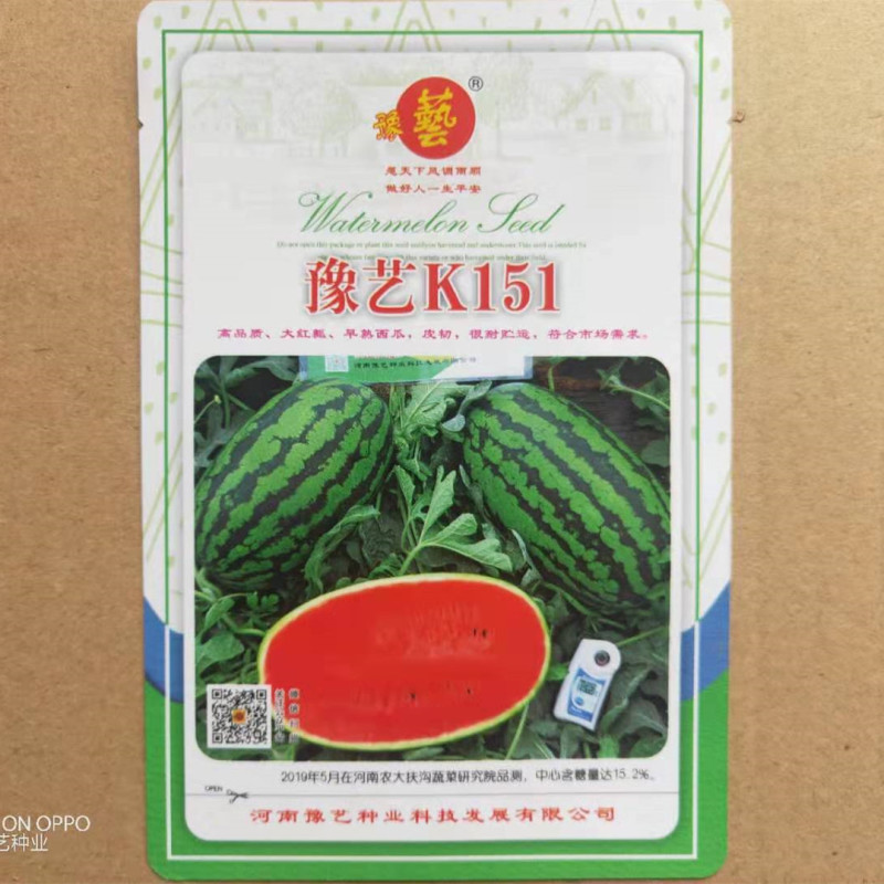 椭圆花皮红瓤西瓜种子绿裳类型K151豫艺种业厂家直销