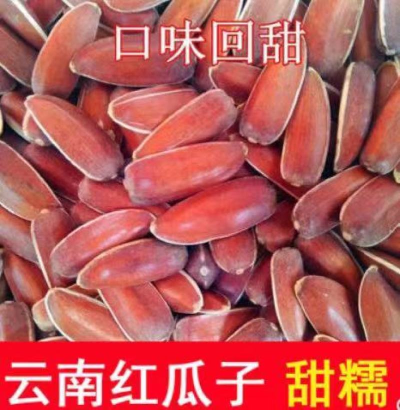 红皮瓜子种葵花子原味香脆糯甜红养生水果葵瓜子籽云南原生态