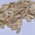红皮瓜子种葵花子原味香脆糯甜红养生水果葵瓜子籽云南原生态