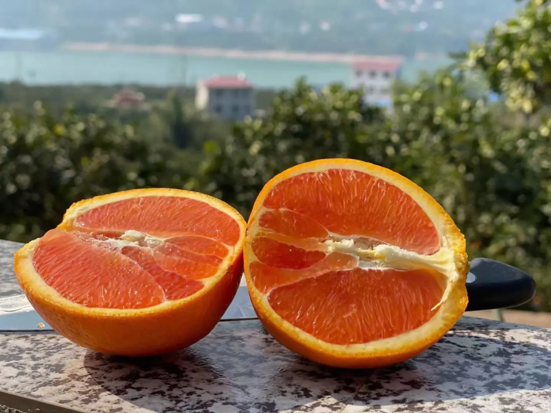 精品普橙，品相好，甜度高，欢迎各界客商咨询