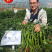 早熟香辣黄线椒辣椒种子鲜辣2号豫艺种业1000粒厂家直销