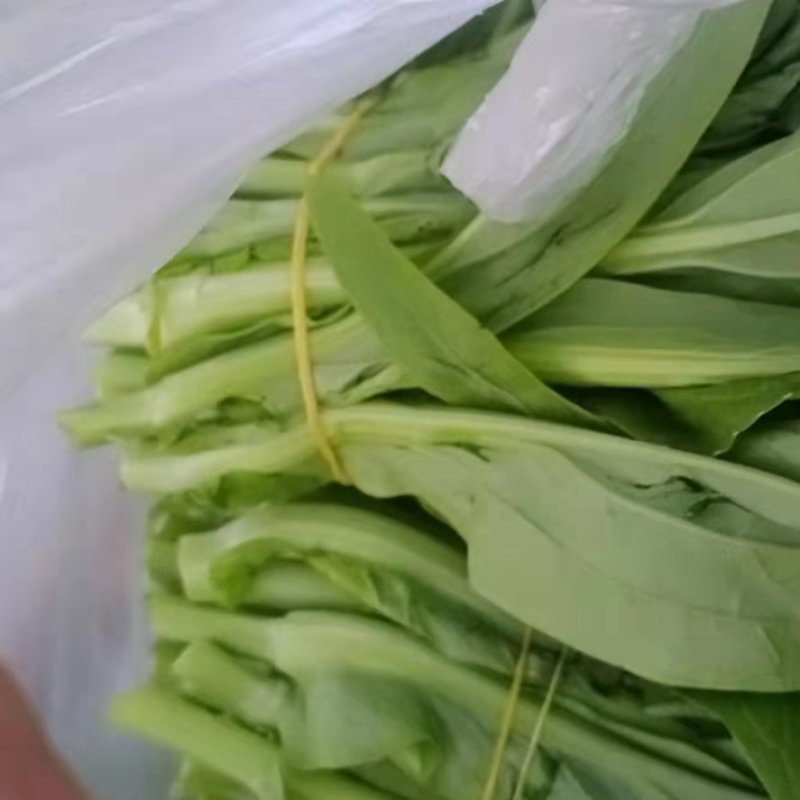 【精选】四川白菜苔新鲜上市量大质优欢迎选购
