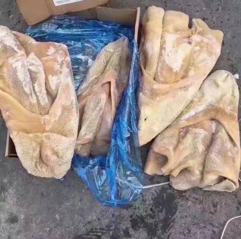 牛肚国包3152牛肚，788牛肚，牛副，手续齐全
