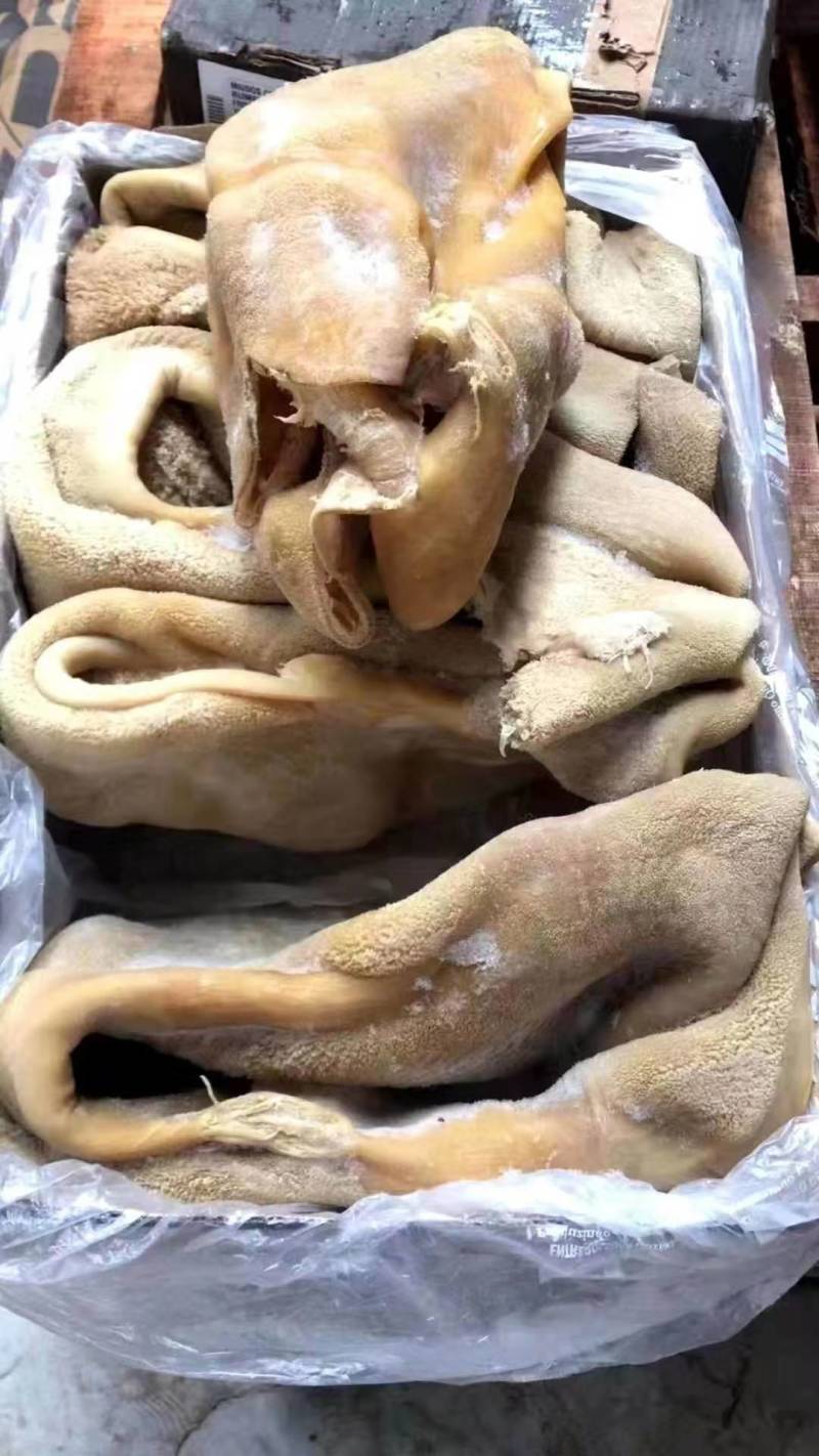 牛肚国包3152牛肚，788牛肚，牛副，手续齐全