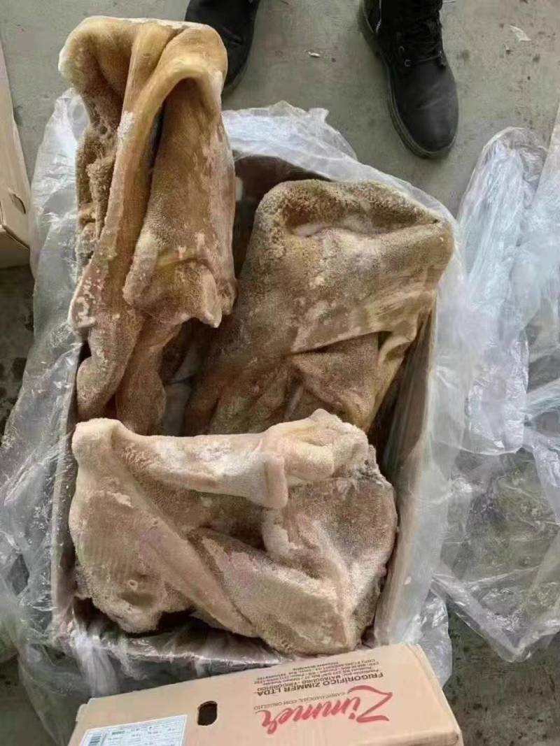 牛肚国包3152牛肚，788牛肚，牛副，手续齐全